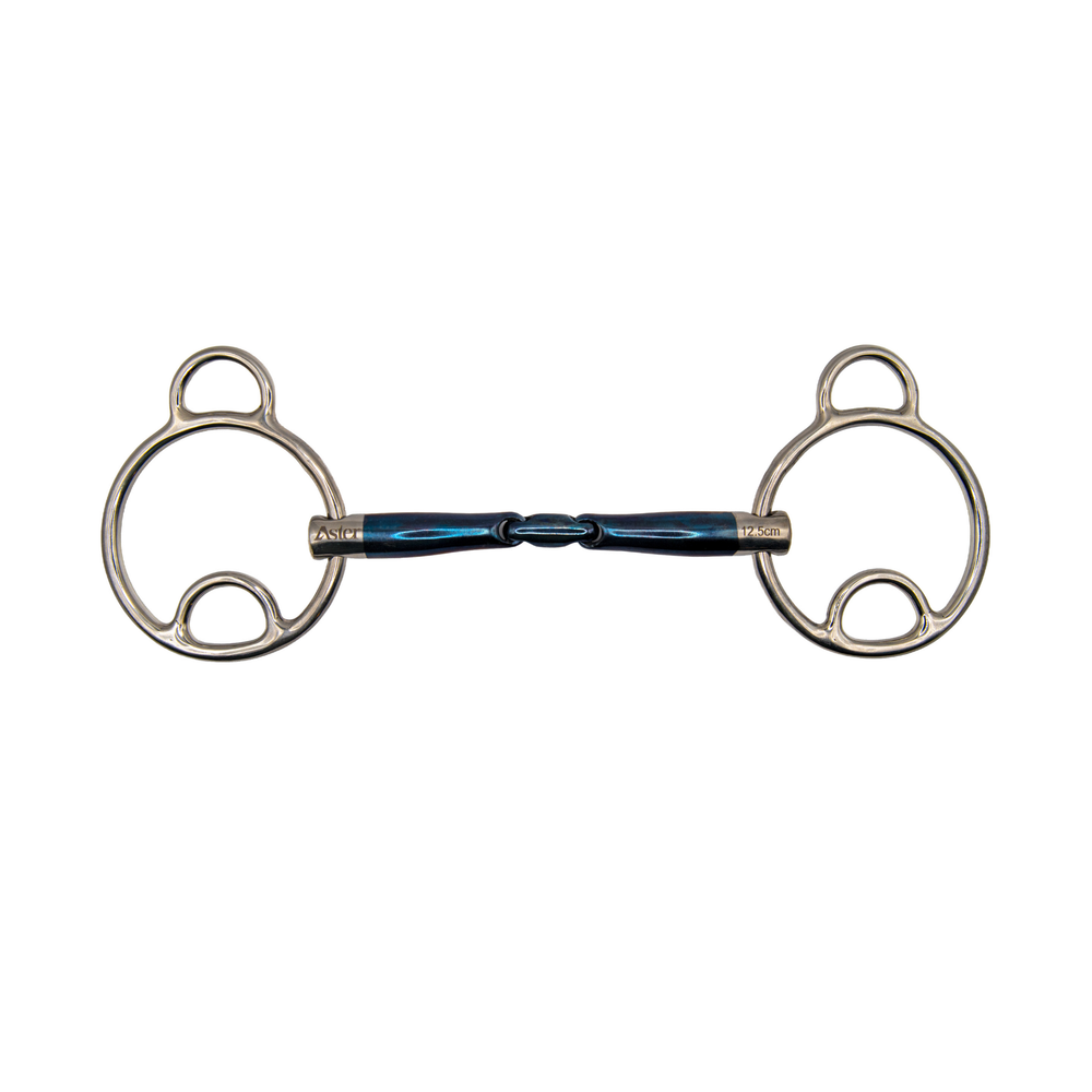 Aster Confidence II Sweet Iron Wilkie