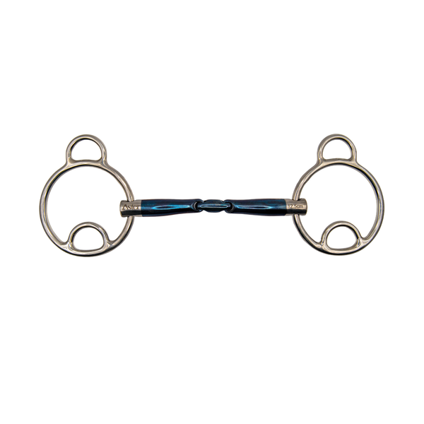 Aster Confidence II Sweet Iron Wilkie