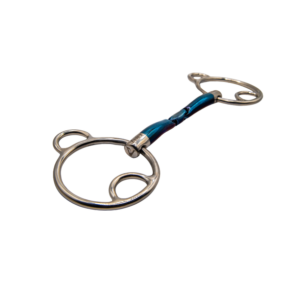 Aster Confidence II Sweet Iron Wilkie