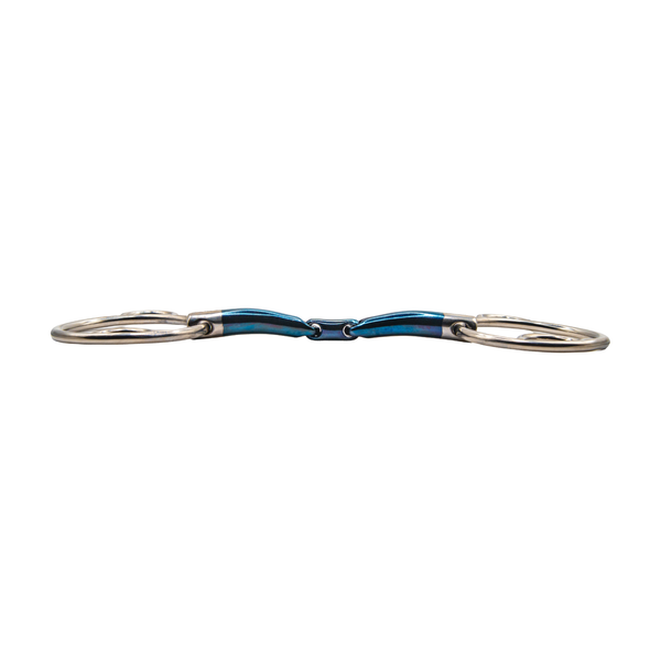 Aster Confidence II Sweet Iron Wilkie