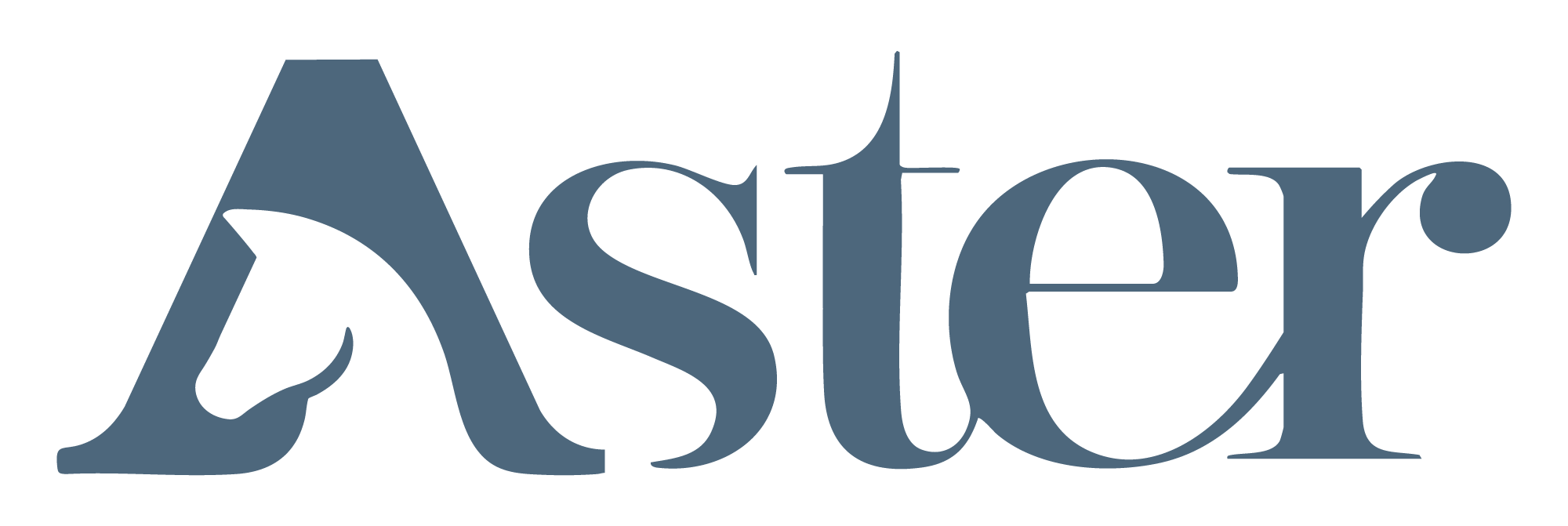 Aster bits 